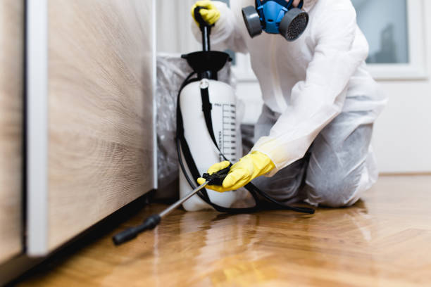 Best Insect Control  in Sylvania, AL