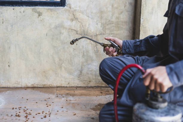 Best Best Pest Control Companies  in Sylvania, AL